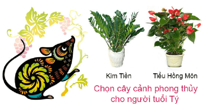 6 loại c&acirc;y cảnh phong thủy văn ph&ograve;ng cho người tuổi T&yacute;